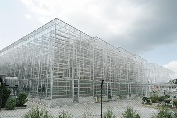 La première ferme verticale (Sky Green) à Singapour