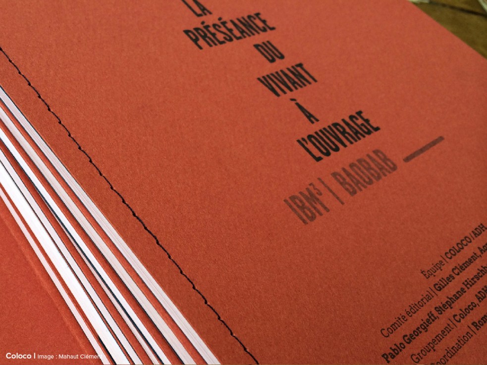 Illustration pour l'article nouvelle génération en voie de développement sur le sit Site et Cite atelier d'ecriture pour jeunes architectes projet rurban et aaa