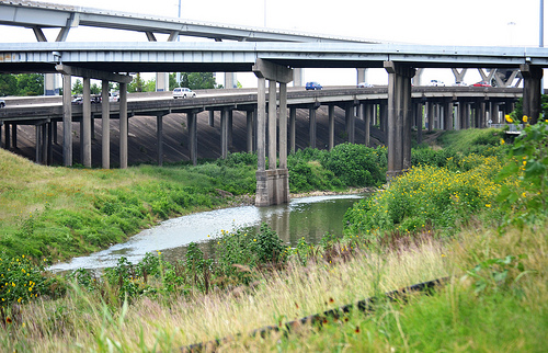 7161689288_c38e576459