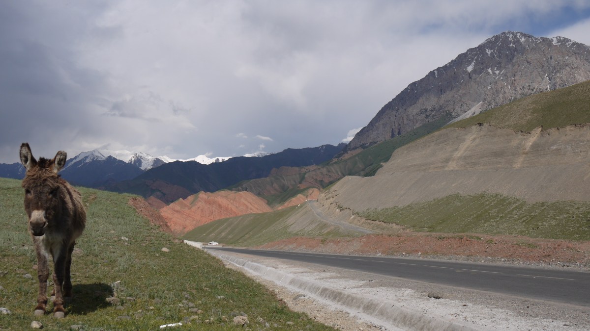 Site et Cité - Balade Kyrgyz - @APG