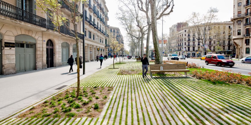 Passeig de Sant Joan à Barcelone, Projet de Lola Domènech Landezine<br /> © Adrià Goula Comme un arbre dans la ville Site et Cité Arbre urbain fosse souffrance biologie naturel